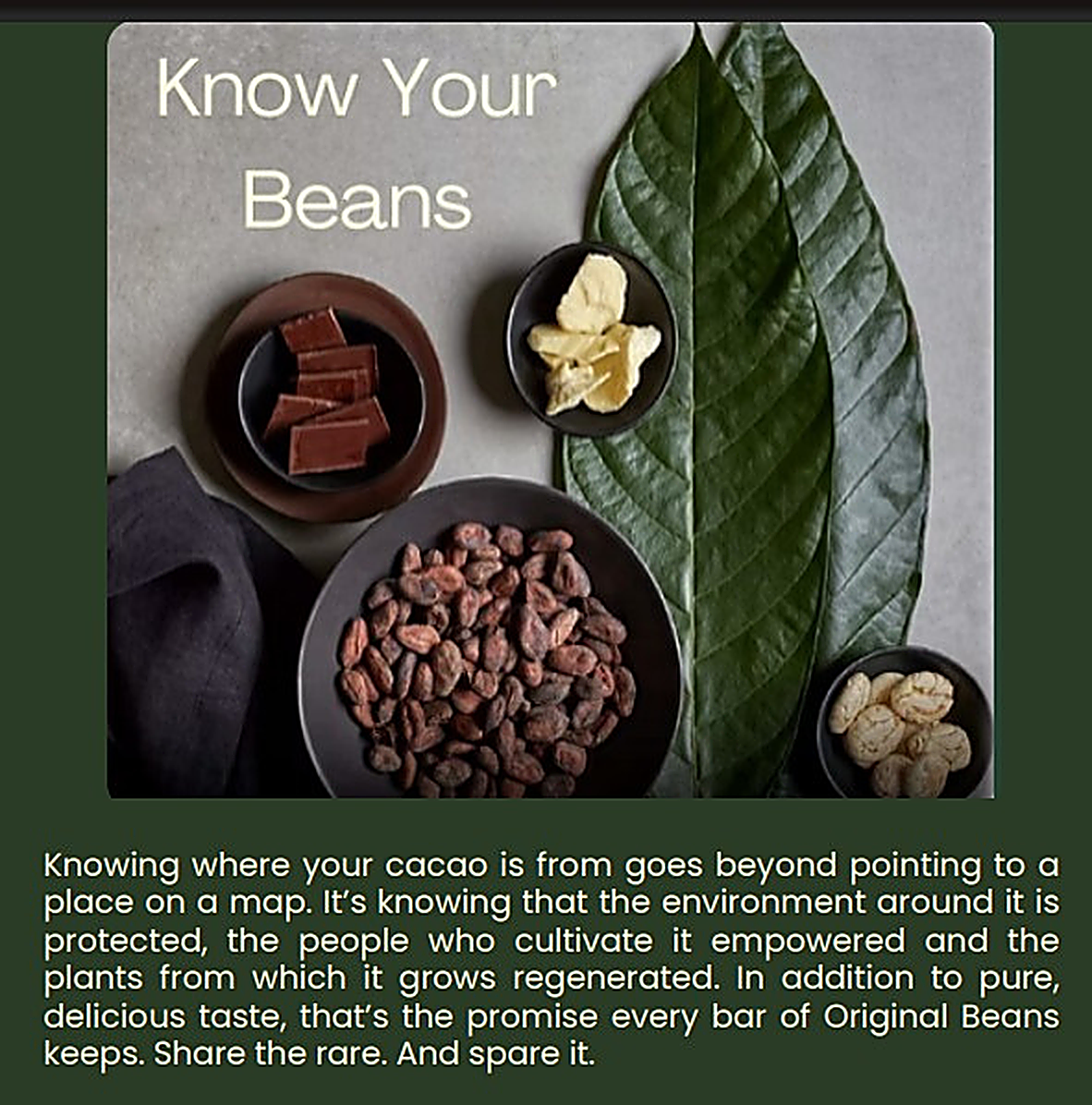 Original Beans campaign: Know Your Beans